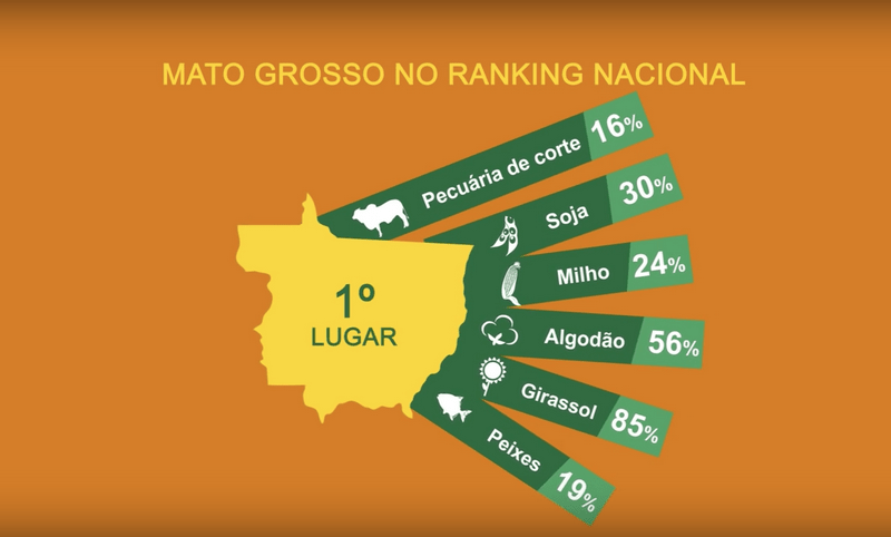 KORY MELBY AG PRODUCT RANKING MATO GROSSO