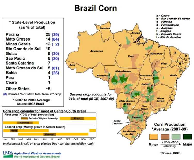 Brazl Corn