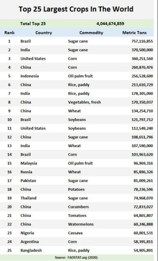 TOP 25 LARGEST CROPS  IN THE WORLD - KORY MELBY BR AG COUNSULTANT